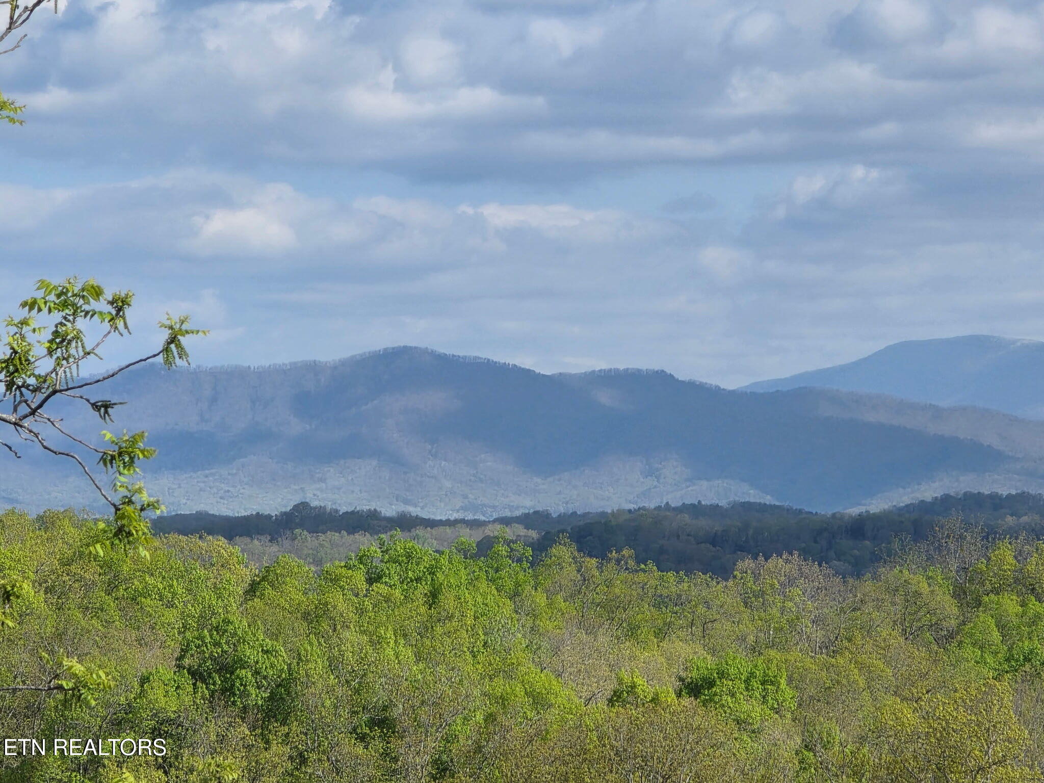 470 Vinson Hollow Road Bybee, TN 37713 - Photo 14 of 51 3661945303139016375