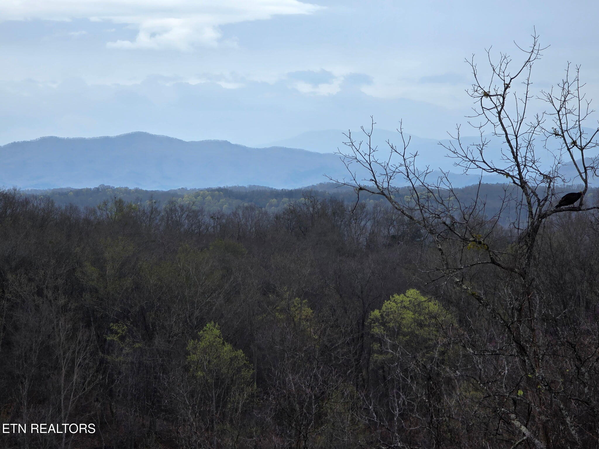 470 Vinson Hollow Road Bybee, TN 37713 - Photo 15 of 51 87999578697392698