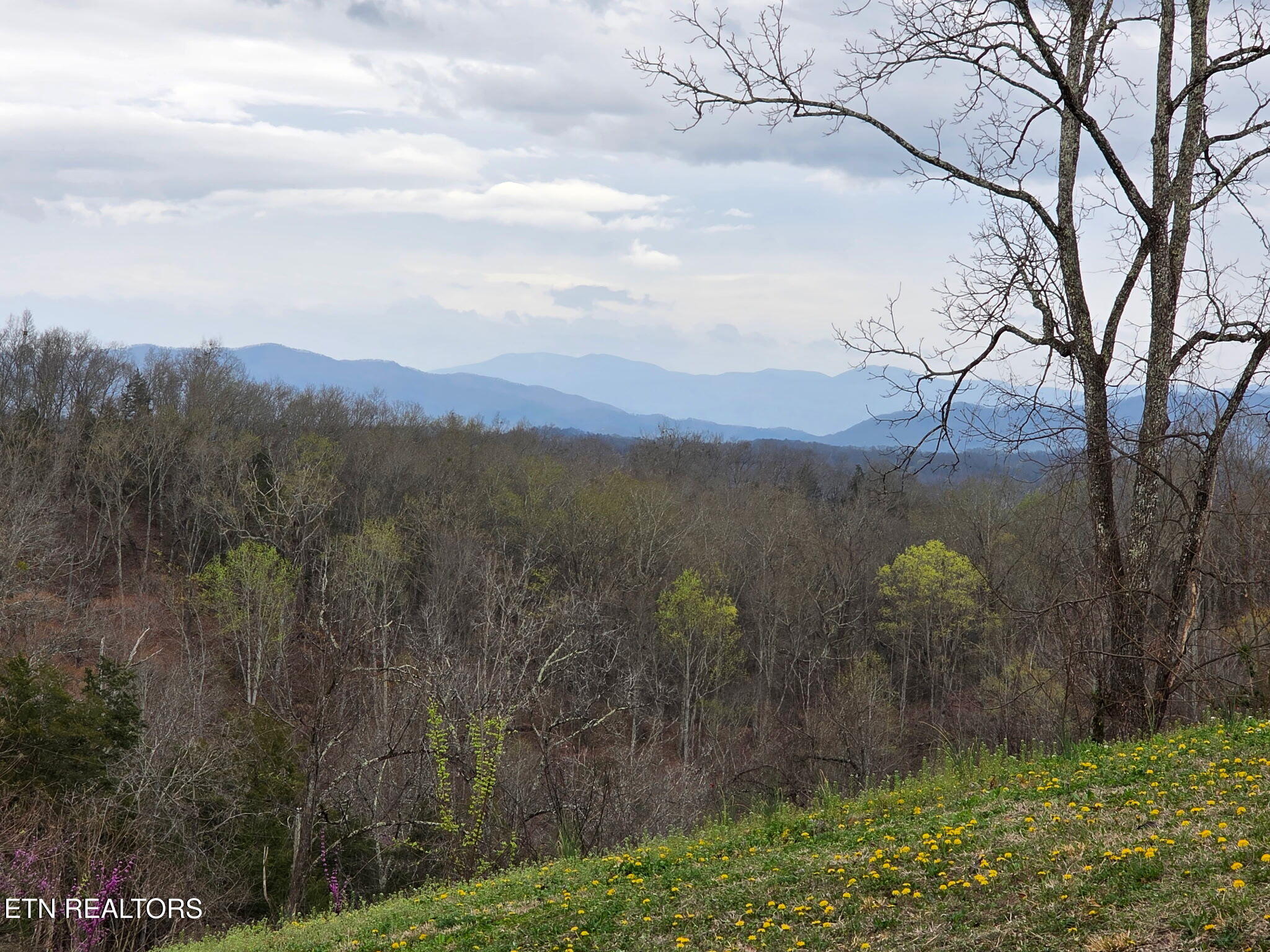 470 Vinson Hollow Road Bybee, TN 37713 - Photo 16 of 51 2942103782589952160