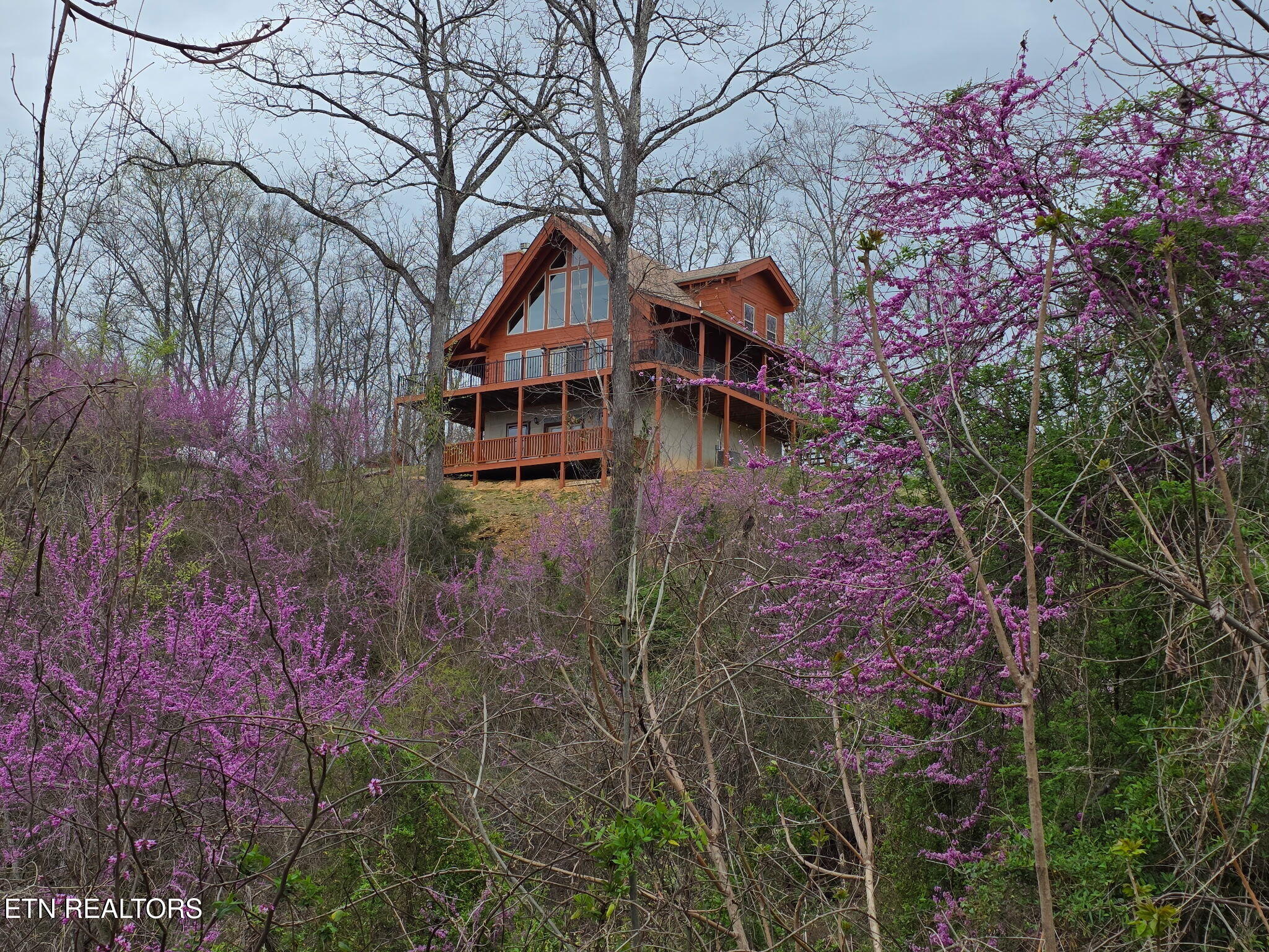 470 Vinson Hollow Road Bybee, TN 37713 - Photo 7 of 51 727510751473131584
