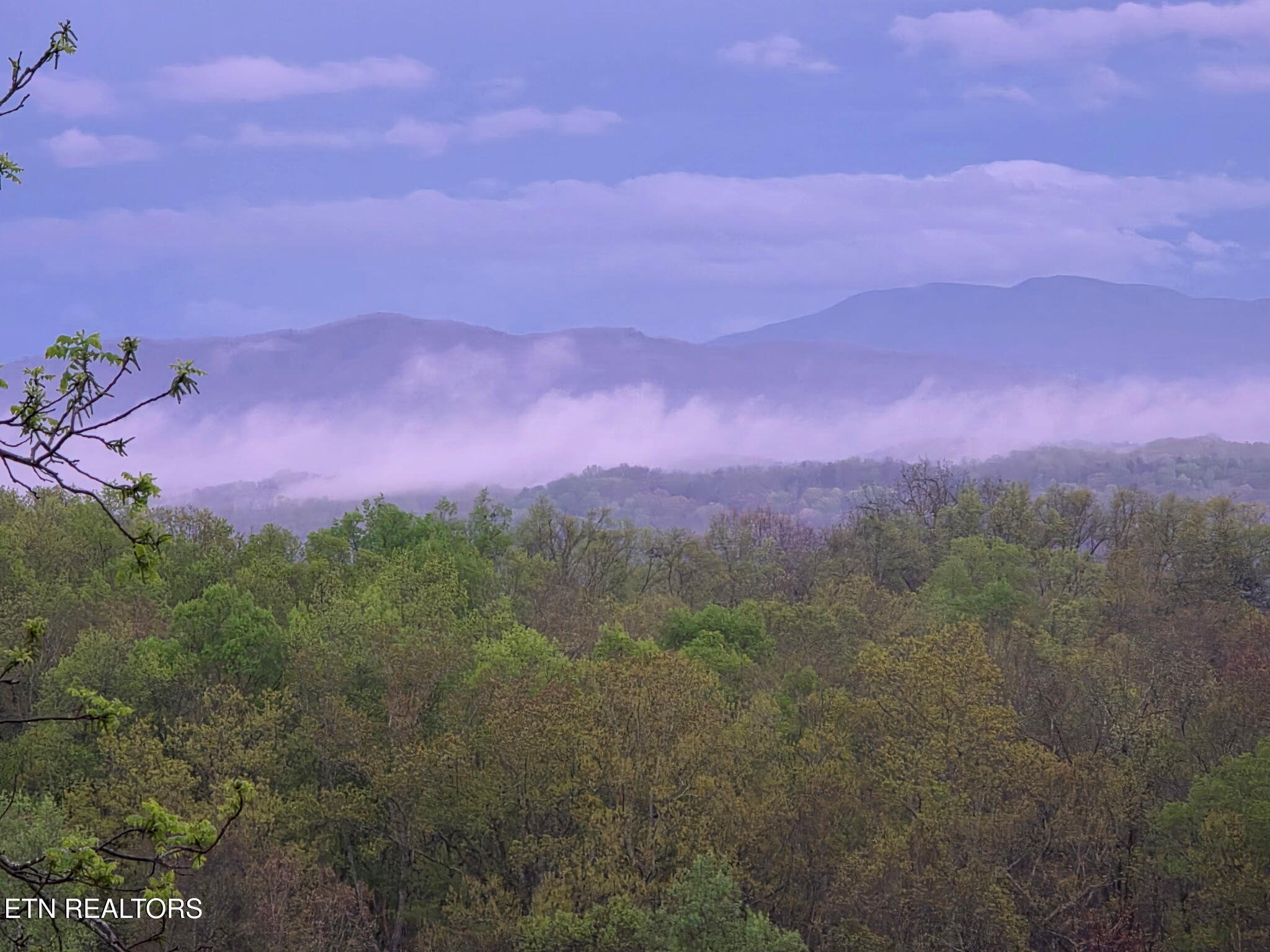 470 Vinson Hollow Road Bybee, TN 37713 - Photo 10 of 51 7015246853403902670