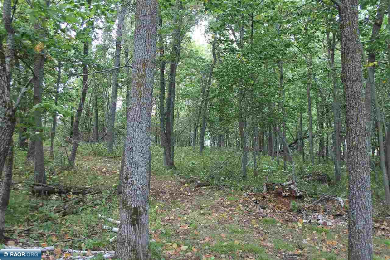 Tbd Tbd Ely Island, Unit 2 Tower, MN 55790 - Photo 8 of 16