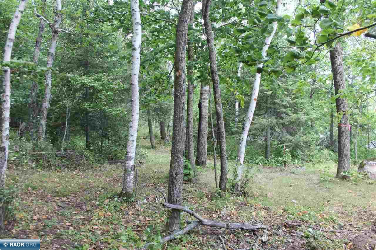 Tbd Tbd Ely Island, Unit 2 Tower, MN 55790 - Photo 9 of 16