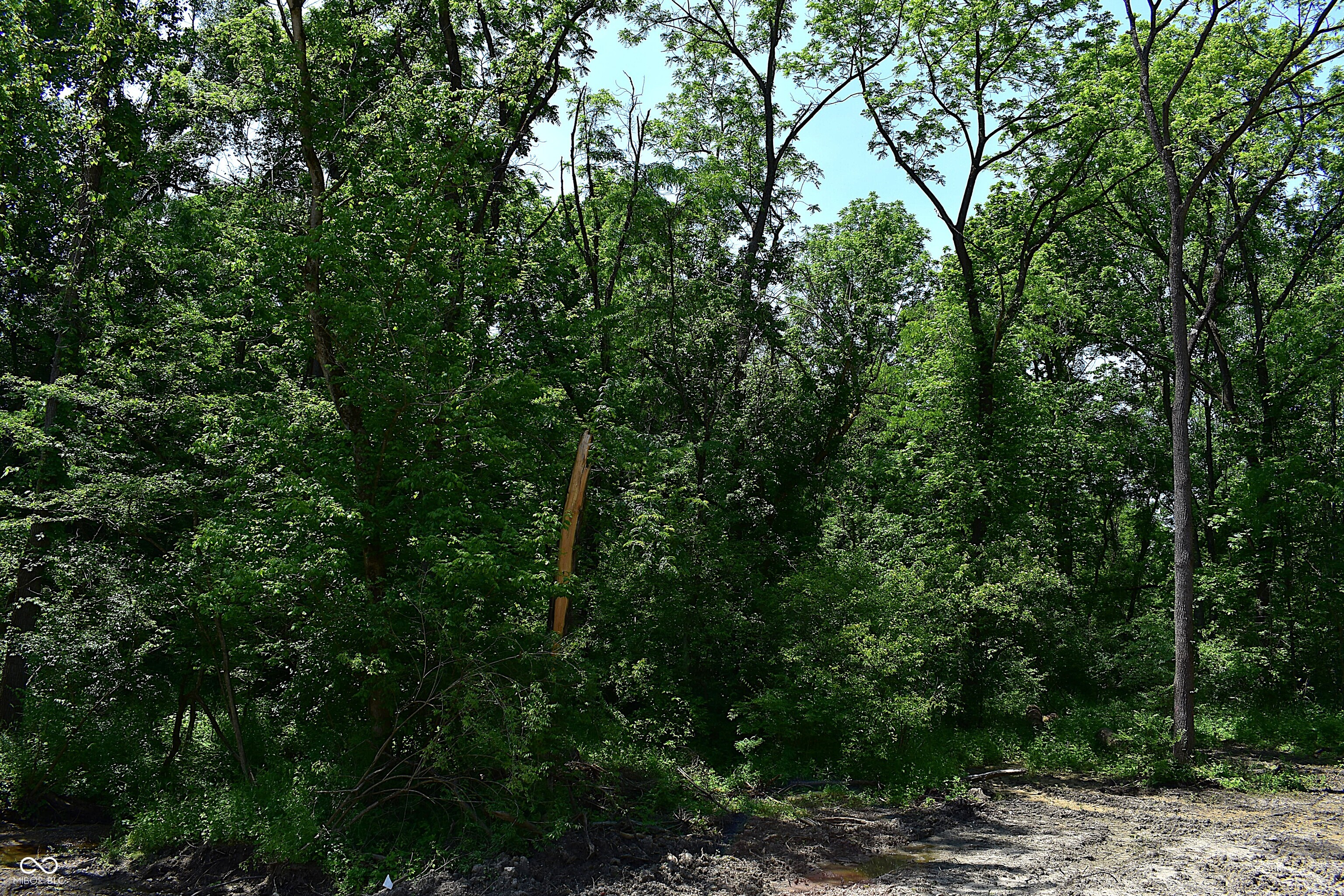 Lot 1 Whitetail Ridge Mooresville, IN 46158 - Photo 6 of 8