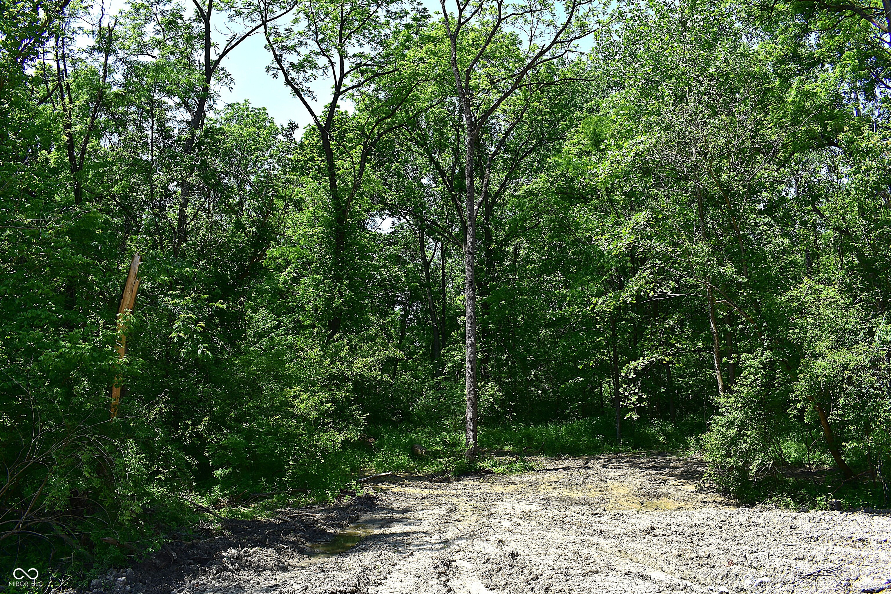 Lot 1 Whitetail Ridge Mooresville, IN 46158 - Photo 7 of 8