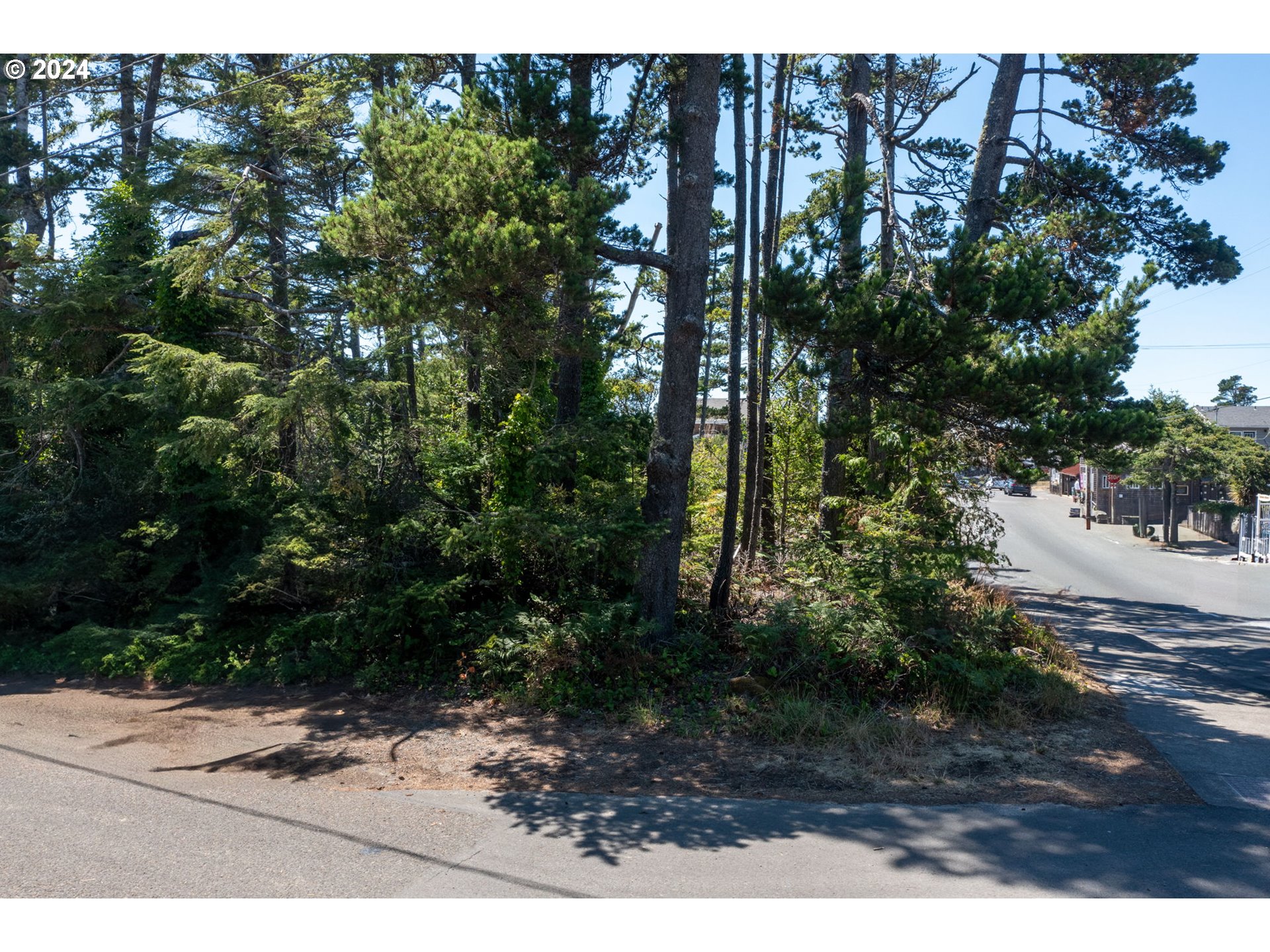 4th Place Manzanita, OR 97130 - Photo 2 of 7 a view of outdoor space and yard