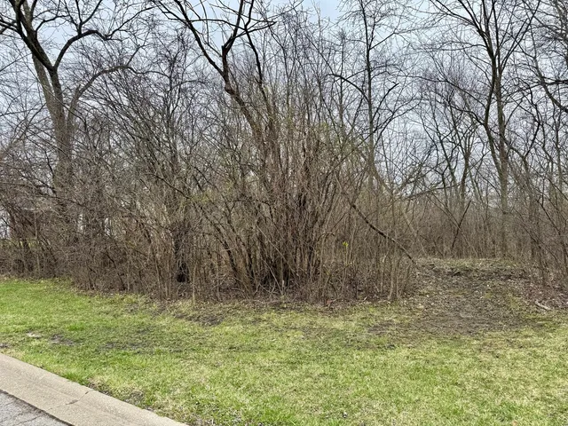 a view of outdoor space with trees