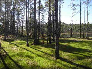 65 Sr Eastpoint, FL 32328 - Photo 1 of 1