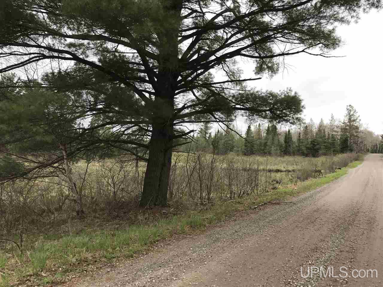 40-ac Kelso Road Crystal Falls, MI 49920 - Photo 19 of 21