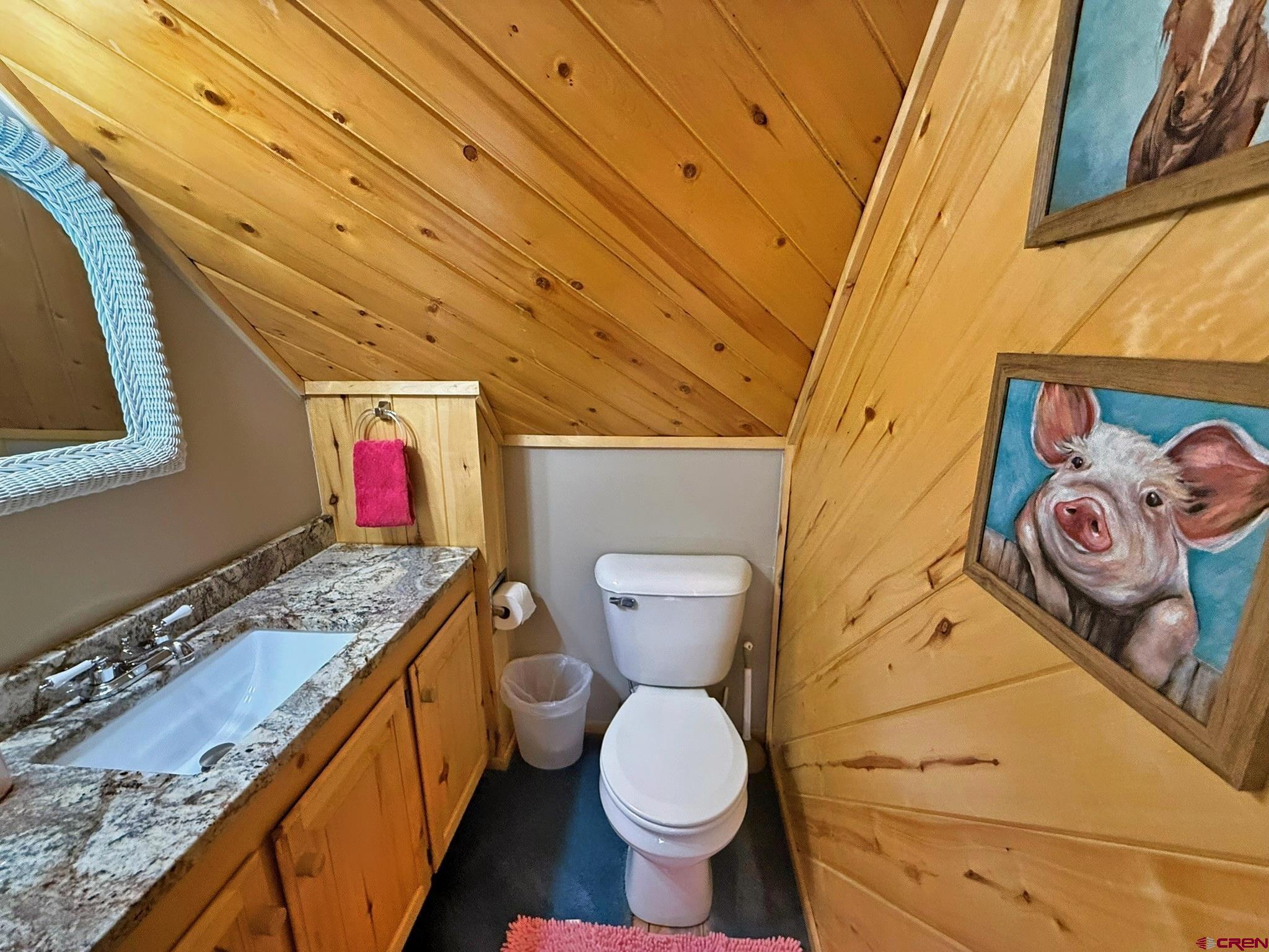 11993 Castle Rock Road Del Norte, CO 81132 - Photo 20 of 44