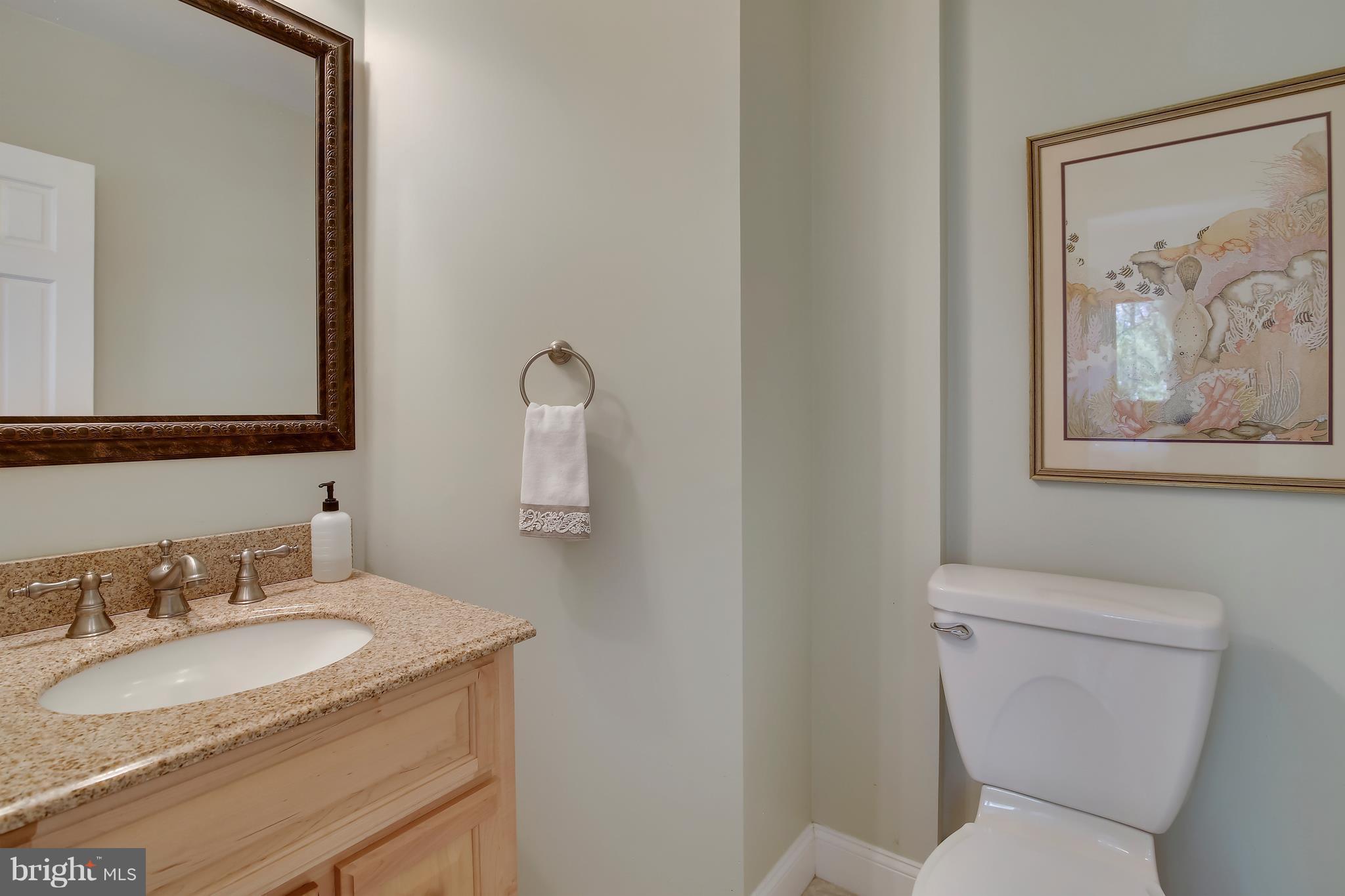 16471 Frederick Road Woodbine, MD 21797 - Photo 16 of 30 Convenient powder room