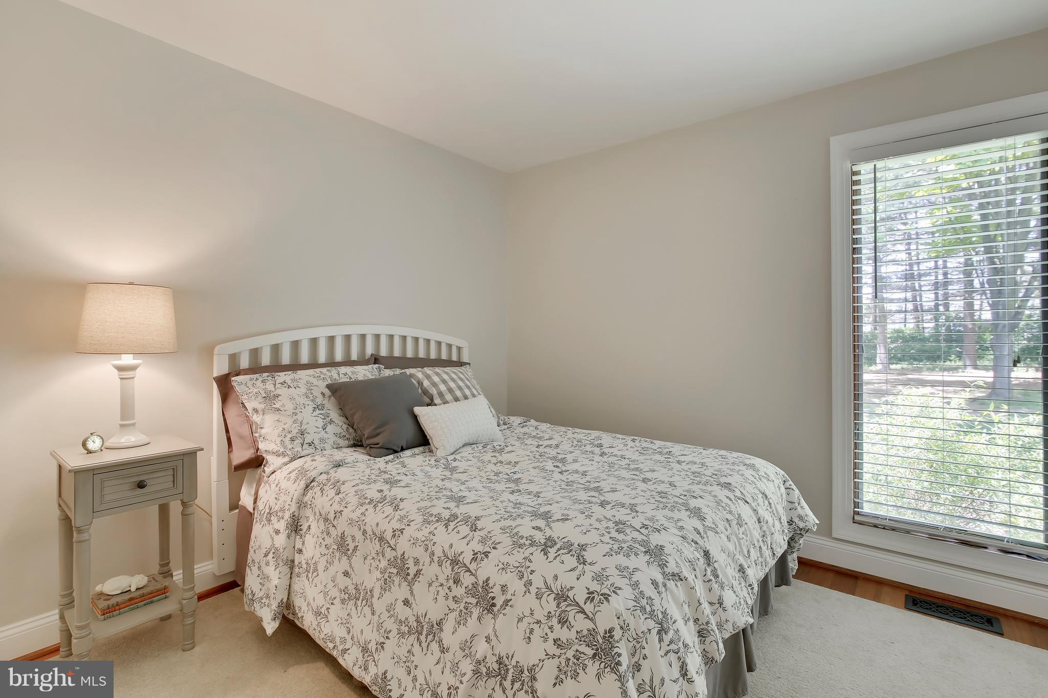 16471 Frederick Road Woodbine, MD 21797 - Photo 26 of 30 Wonderful natural lighting