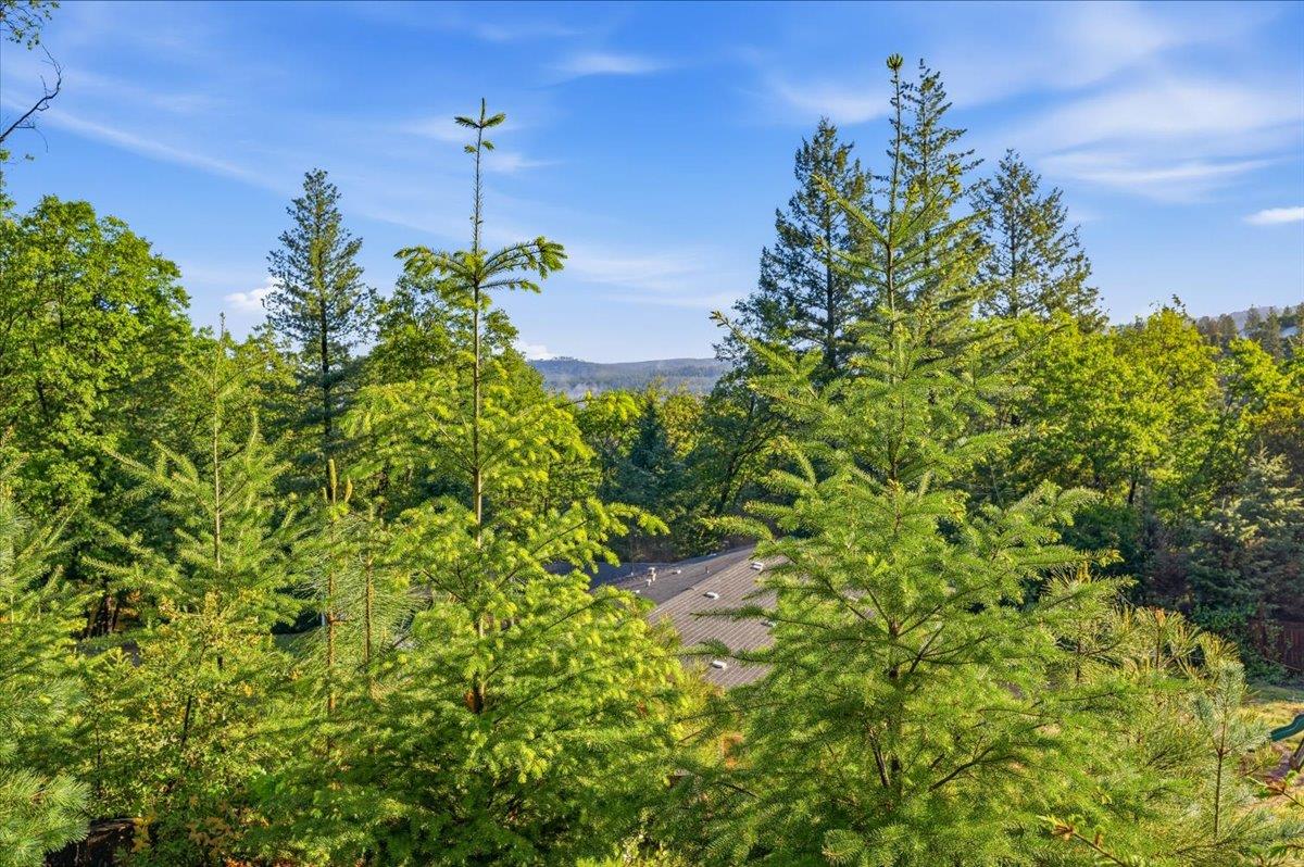 16770 Autumn Oak Road Grass Valley, CA 95945 - Photo 34 of 47