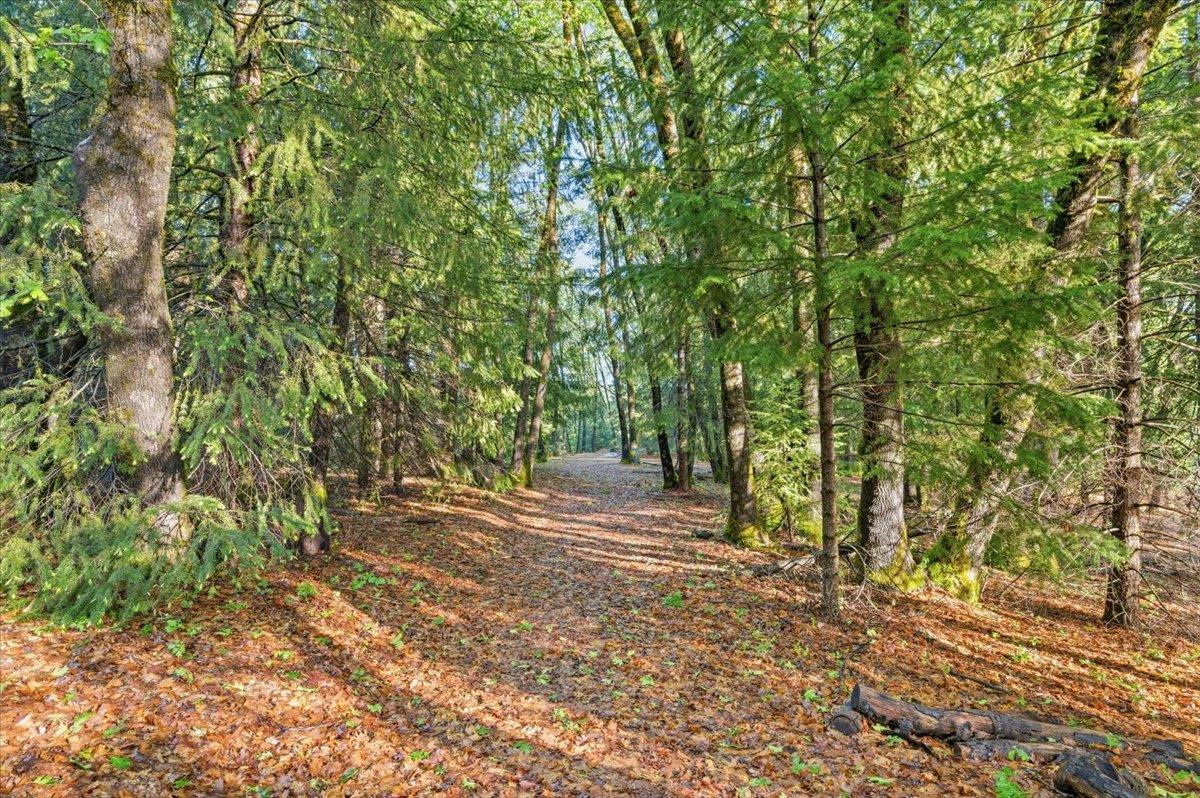 16770 Autumn Oak Road Grass Valley, CA 95945 - Photo 37 of 47