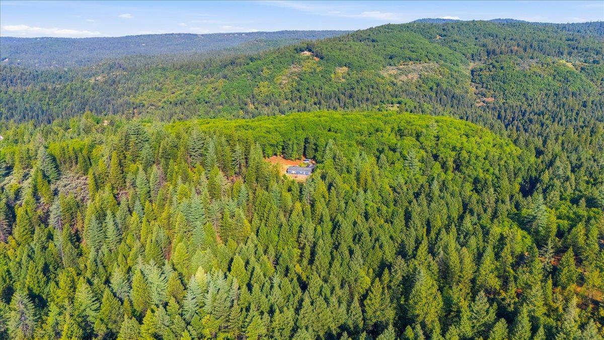 16770 Autumn Oak Road Grass Valley, CA 95945 - Photo 40 of 47