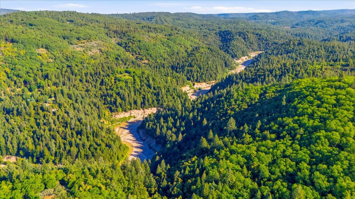 16770 Autumn Oak Road Grass Valley, CA 95945 - Photo 42 of 47