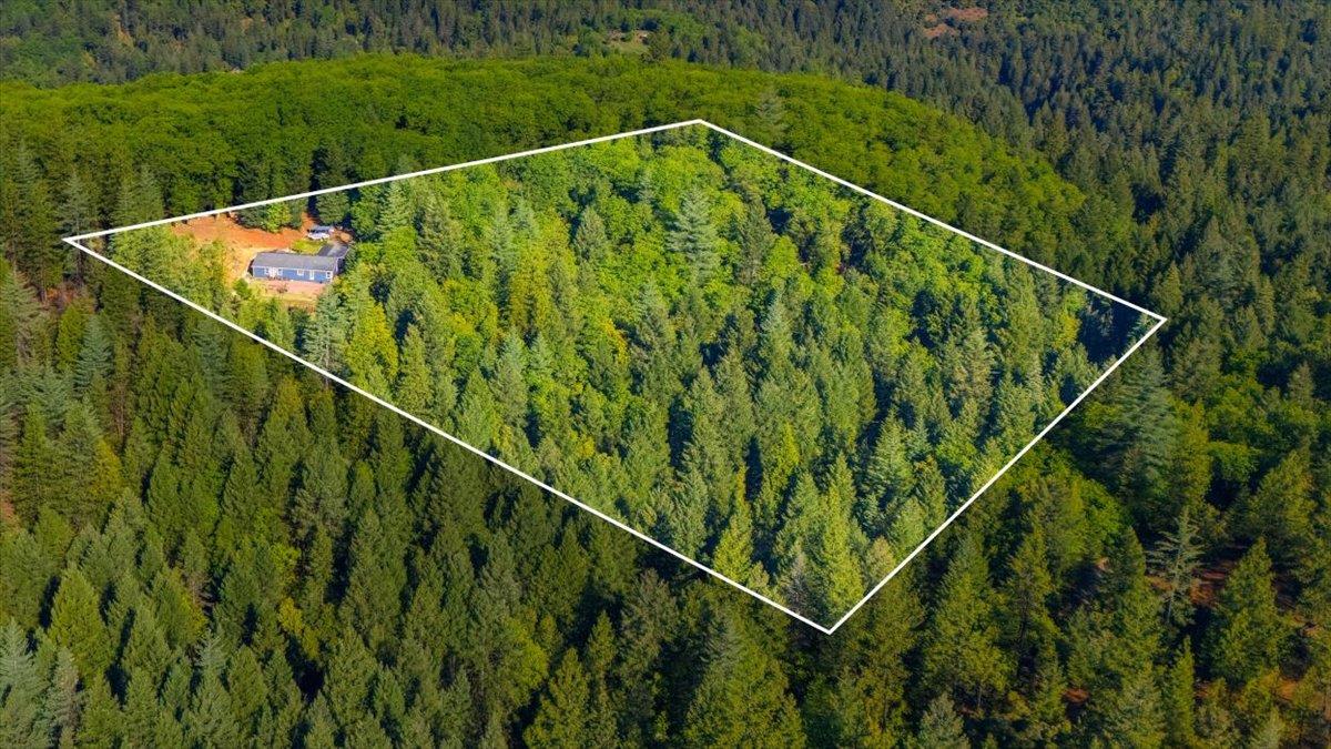 16770 Autumn Oak Road Grass Valley, CA 95945 - Photo 44 of 47