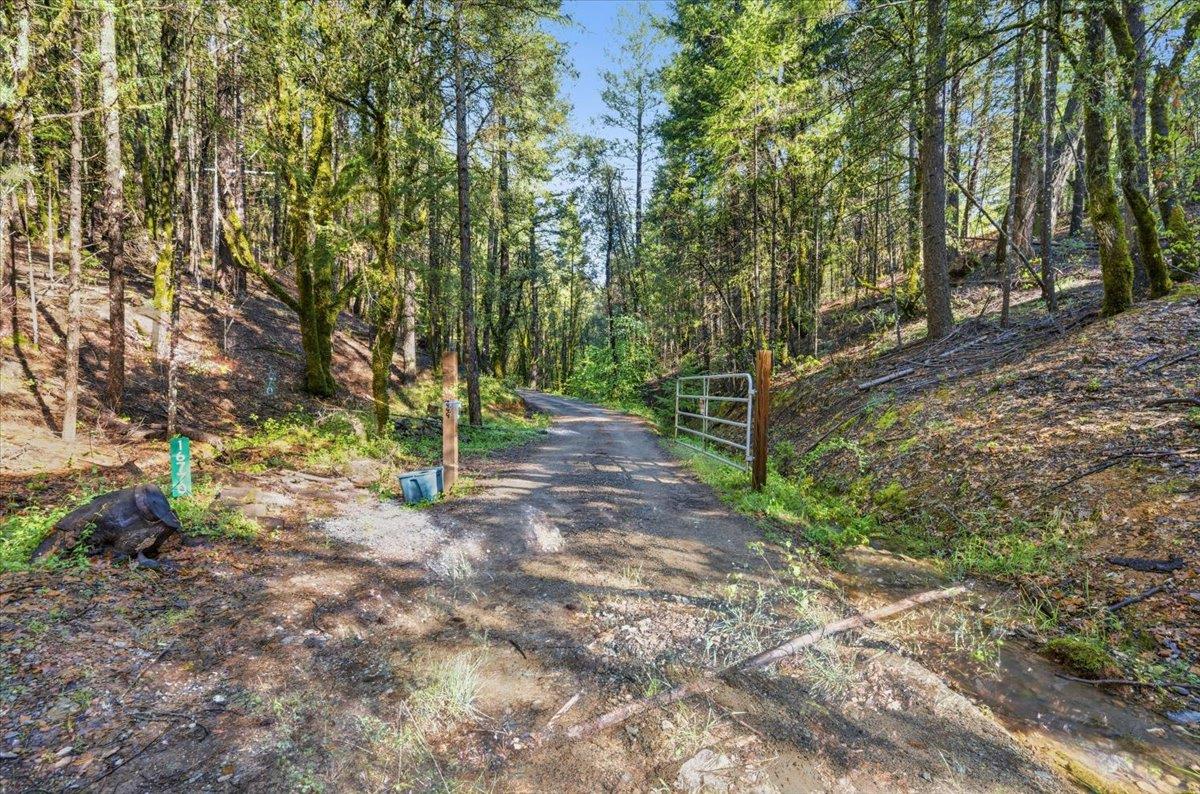 16770 Autumn Oak Road Grass Valley, CA 95945 - Photo 47 of 47