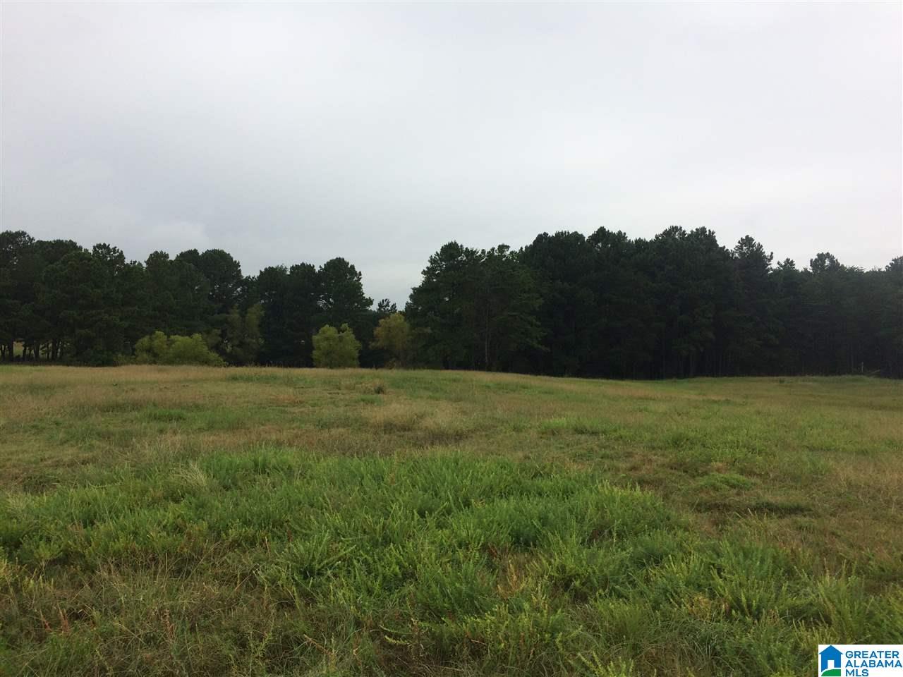 17999 Groundhog Road, Unit 40 Adger, AL 35006 - Photo 9 of 10