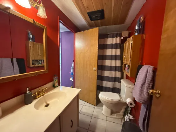 a bathroom with a sink a toilet a mirror and shower