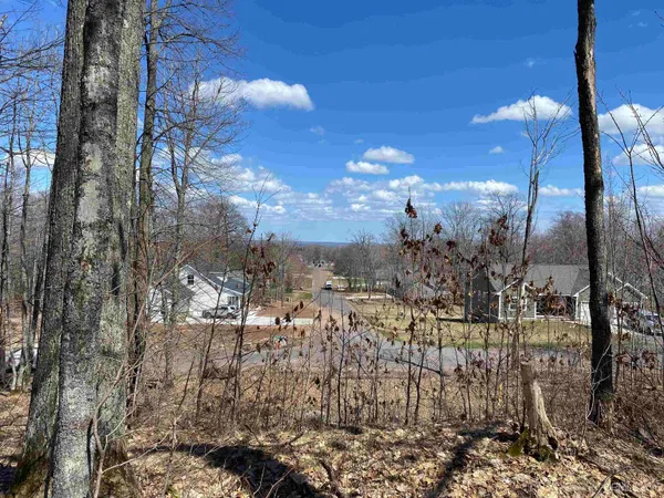 $20,000 | Tbd Lot 23 South Tbd Drive, South Range, MI 49963