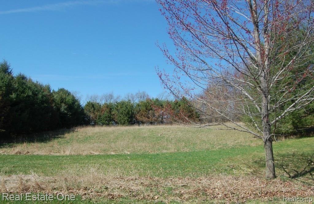 13837 Hibner Road Hartland, MI 48353 - Photo 13 of 15 View from back deck.jpg