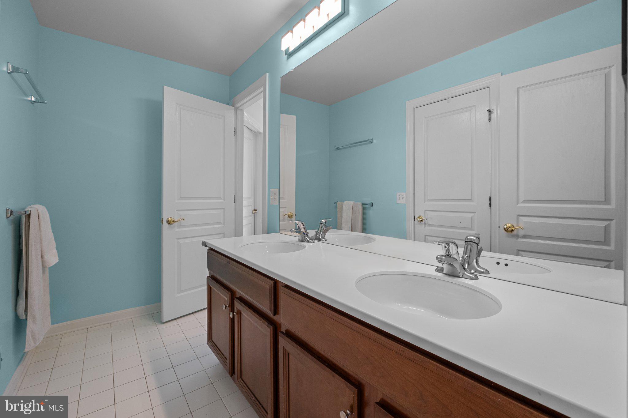 1615 Silver Birch Road Huntingdon Valley, PA 19006 - Photo 46 of 69 a bathroom with a sink and a mirror