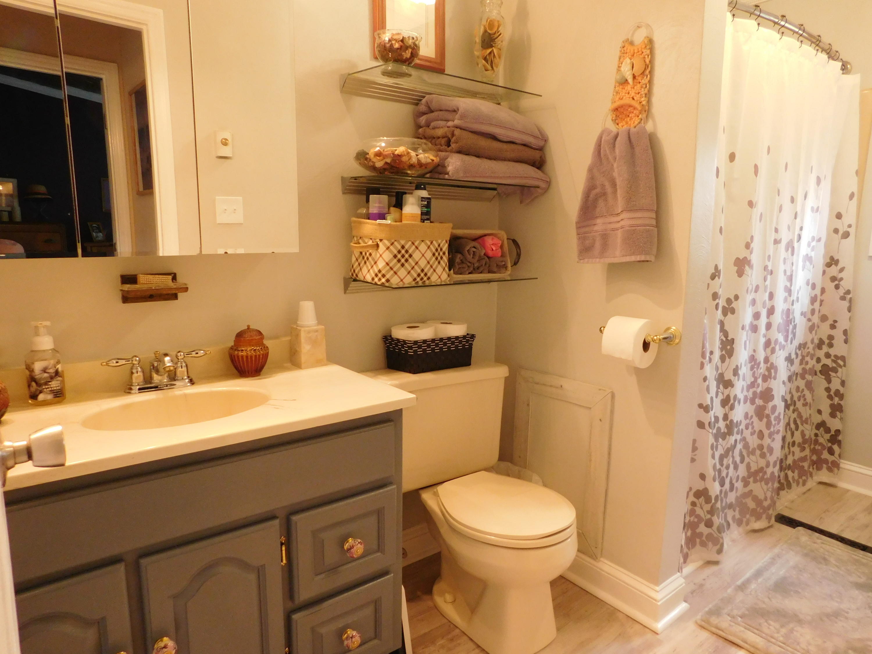 1463 Stripers Cove Road Goodview, VA 24095 - Photo 23 of 44 a bathroom with a sink and a toilet