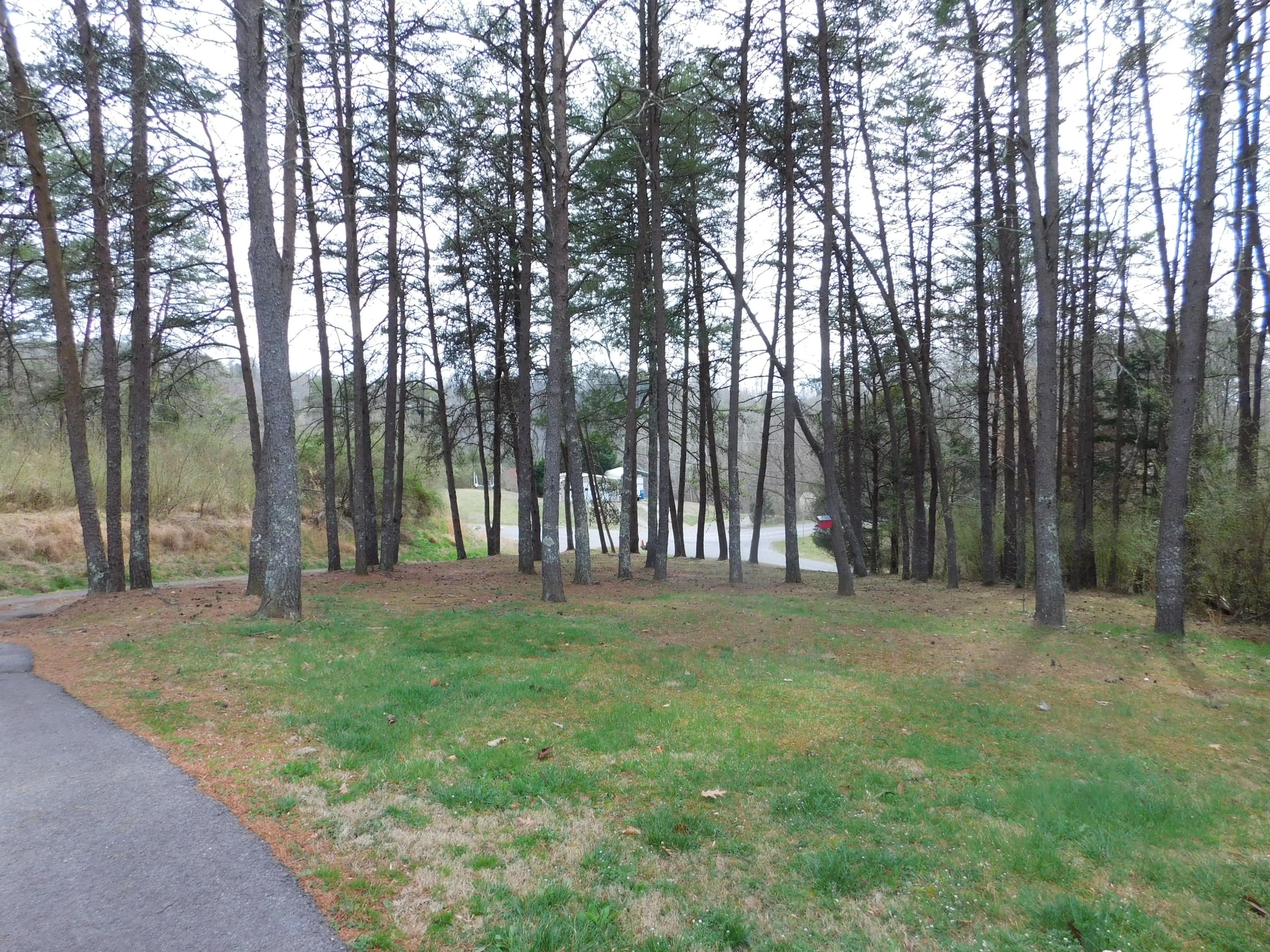 1463 Stripers Cove Road Goodview, VA 24095 - Photo 36 of 44 a grassy field with trees in the background