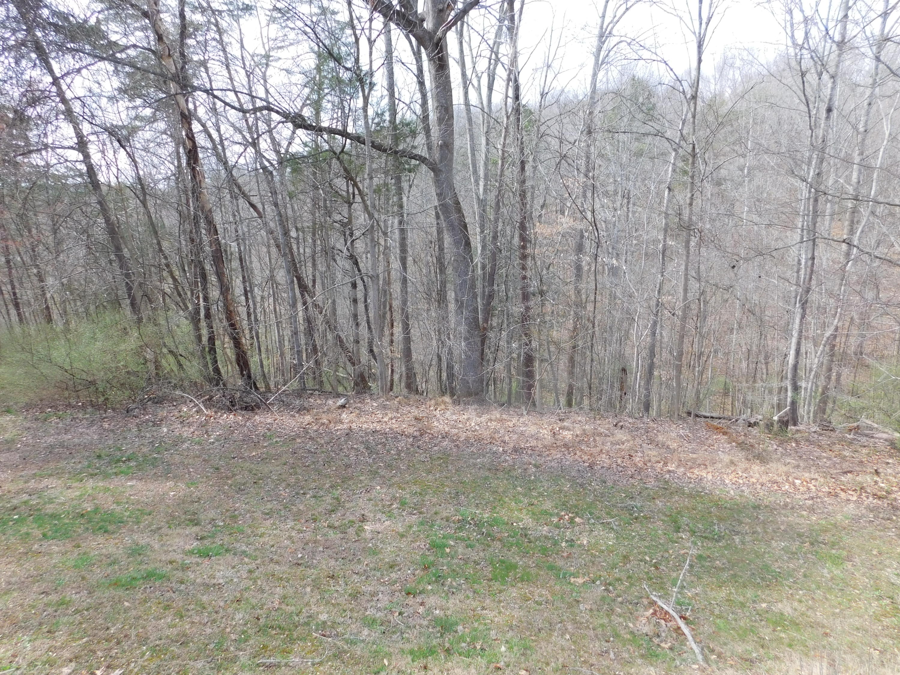 1463 Stripers Cove Road Goodview, VA 24095 - Photo 42 of 44 a view of outdoor space and yard