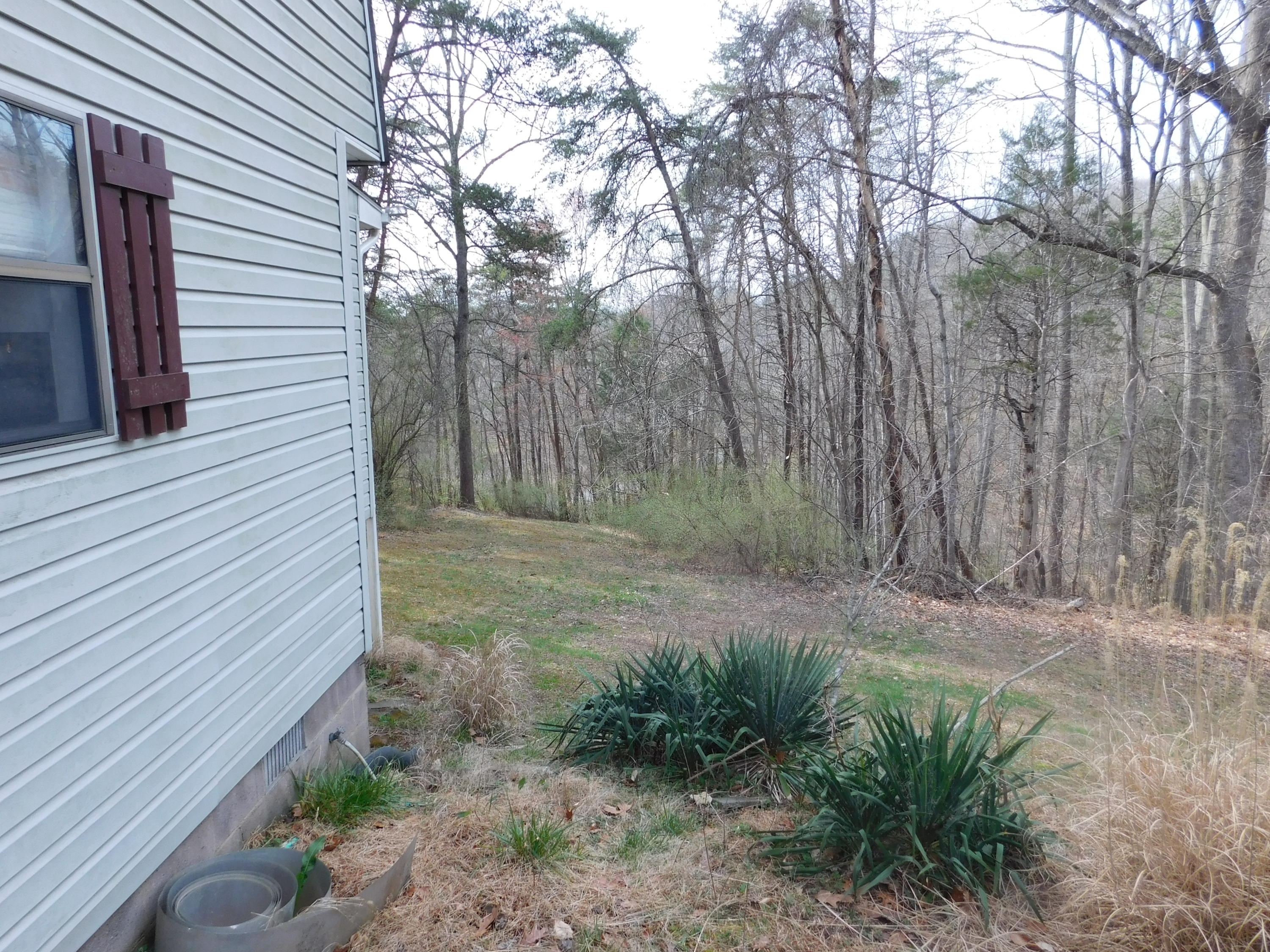 1463 Stripers Cove Road Goodview, VA 24095 - Photo 43 of 44 a view of a backyard