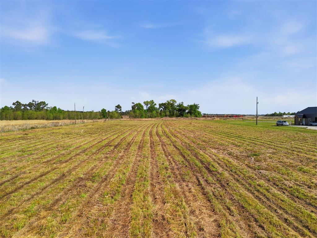 202 Jackson-Gimnick Loop Ragley, LA 70657 - Photo 3 of 3