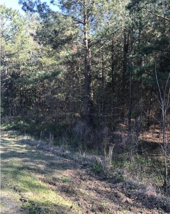 0 Hoyt Scott Road Hubert, NC 28539 - Photo 2 of 3 Photo 2