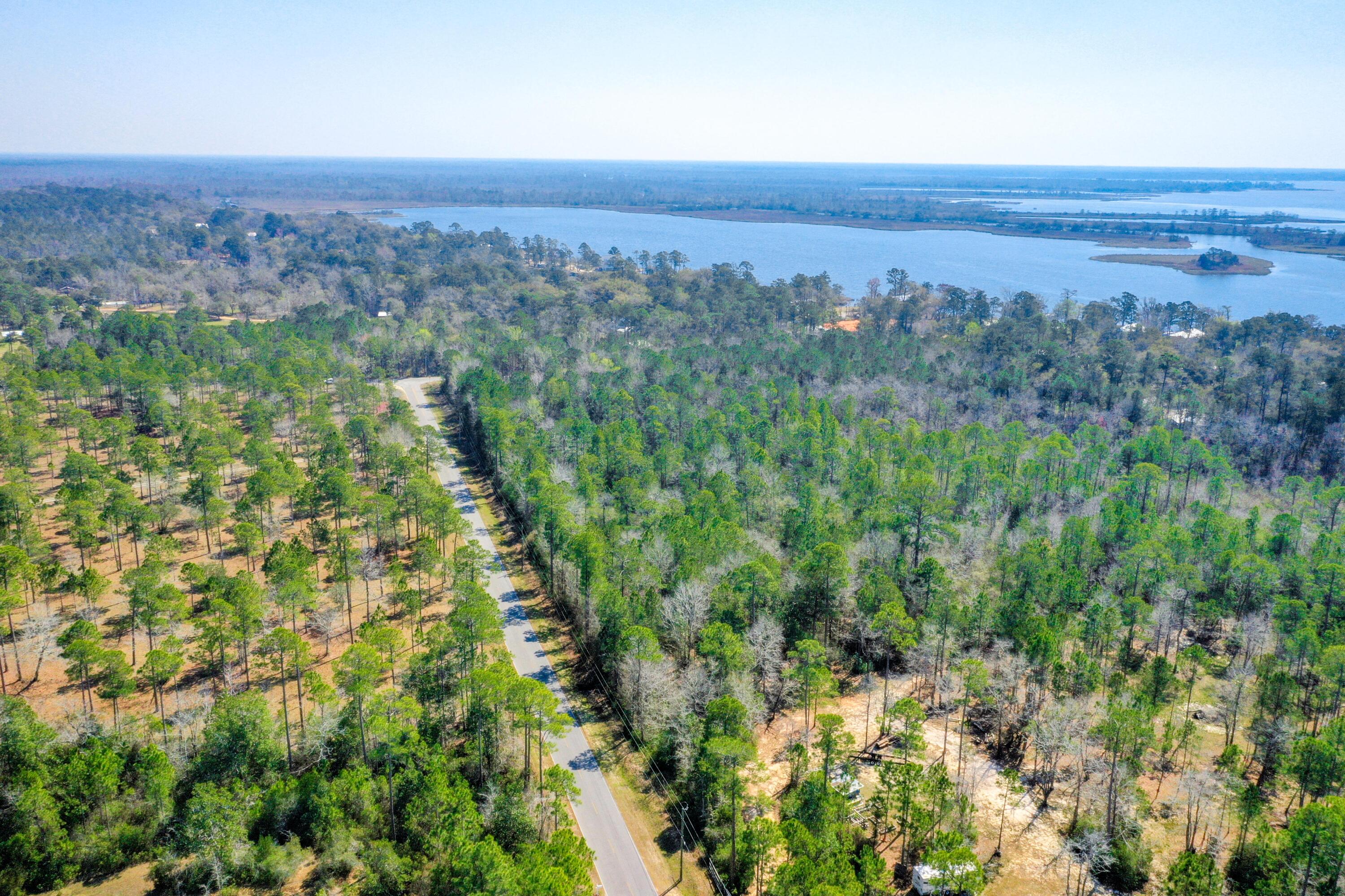12-acres Jolly Bay Road Freeport, FL 32439 - Photo 10 of 16 DJI_0599
