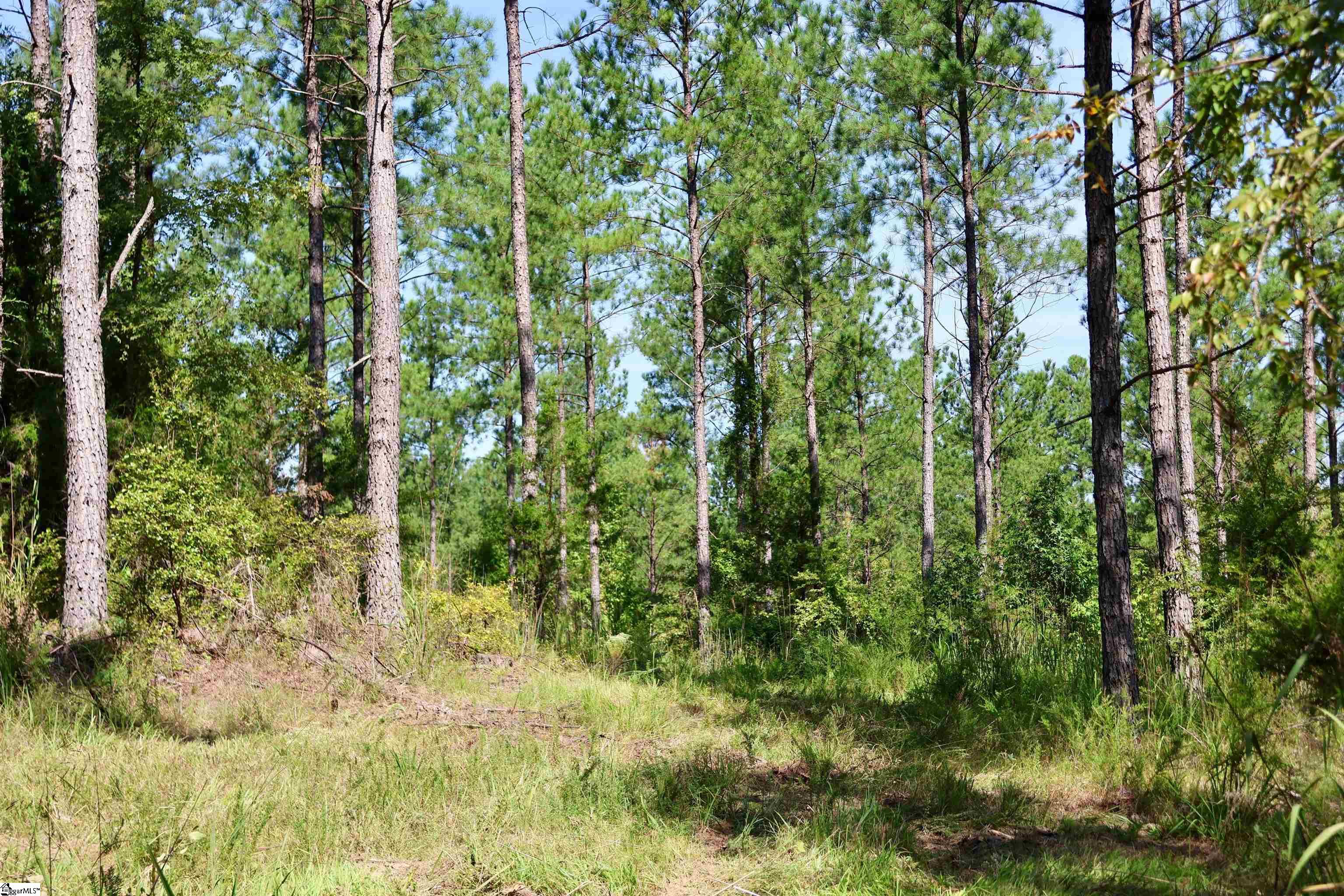 0 Fields Road, Unit LOT 3 Pauline, SC 29374 - Photo 2 of 6