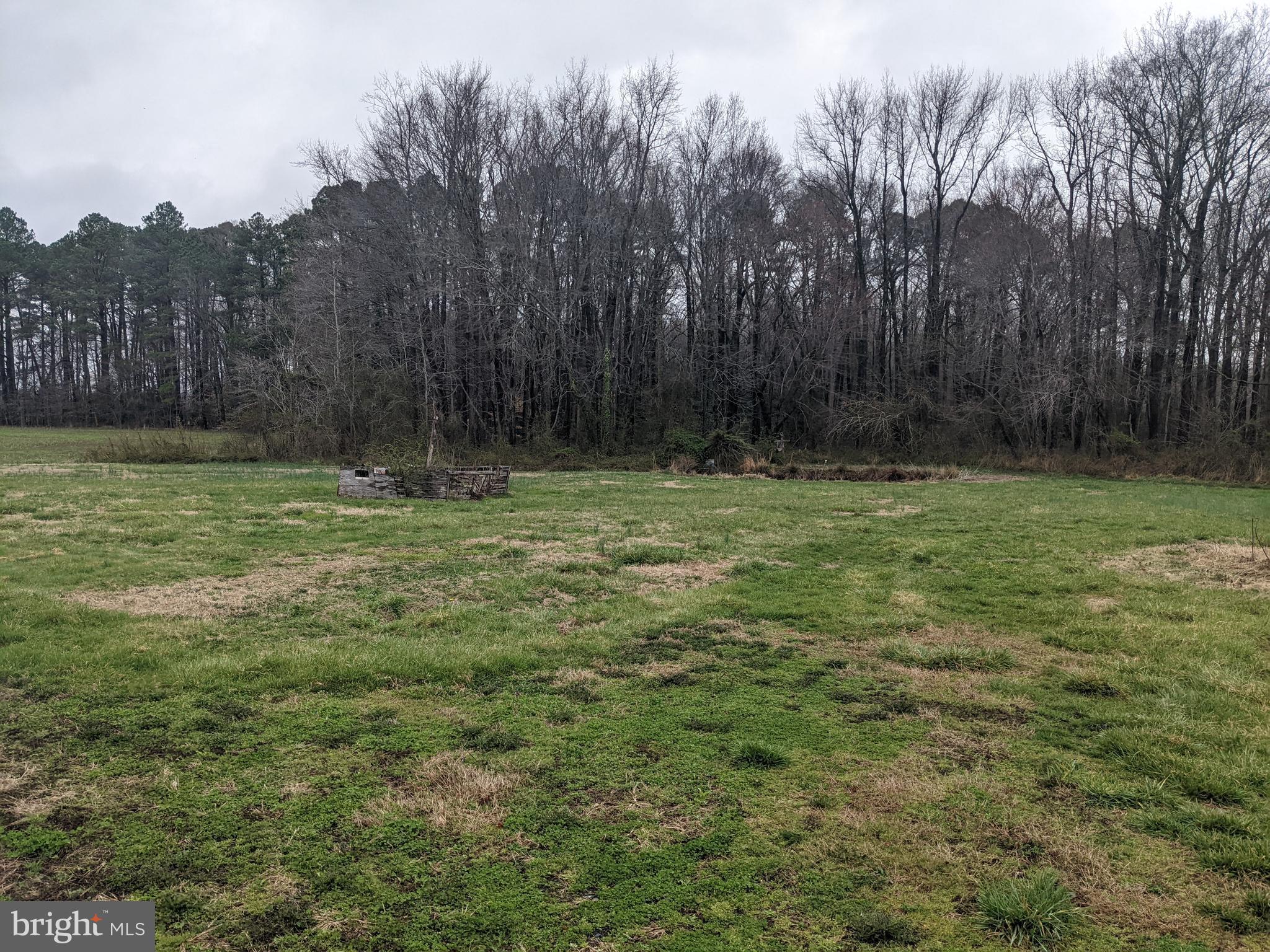 26118 Hobbs Road Denton, MD 21629 - Photo 8 of 9