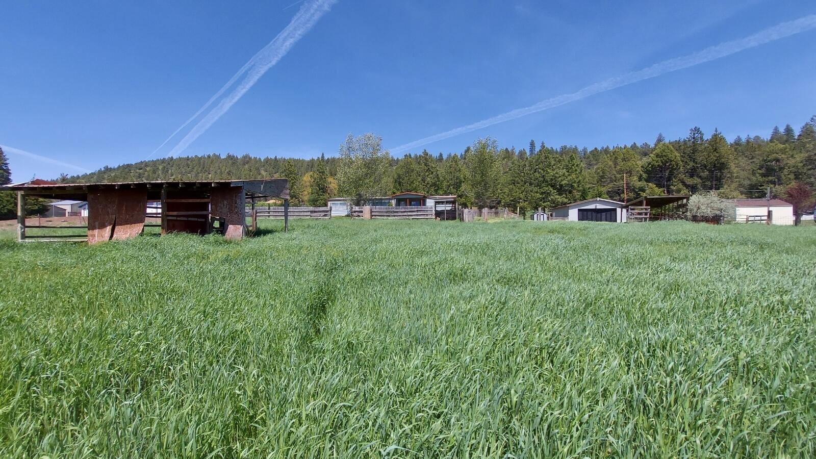 9728 Ben Kerns Road Klamath Falls, OR 97601 - Photo 47 of 58 Property