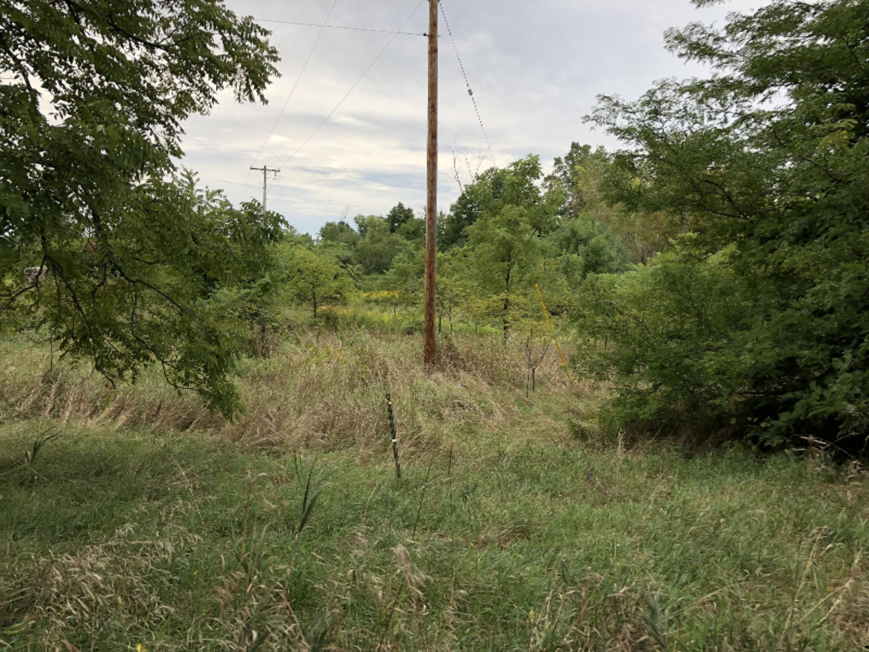 Miller And Mathews Road Olivet, MI 49076 - Photo 3 of 4 34