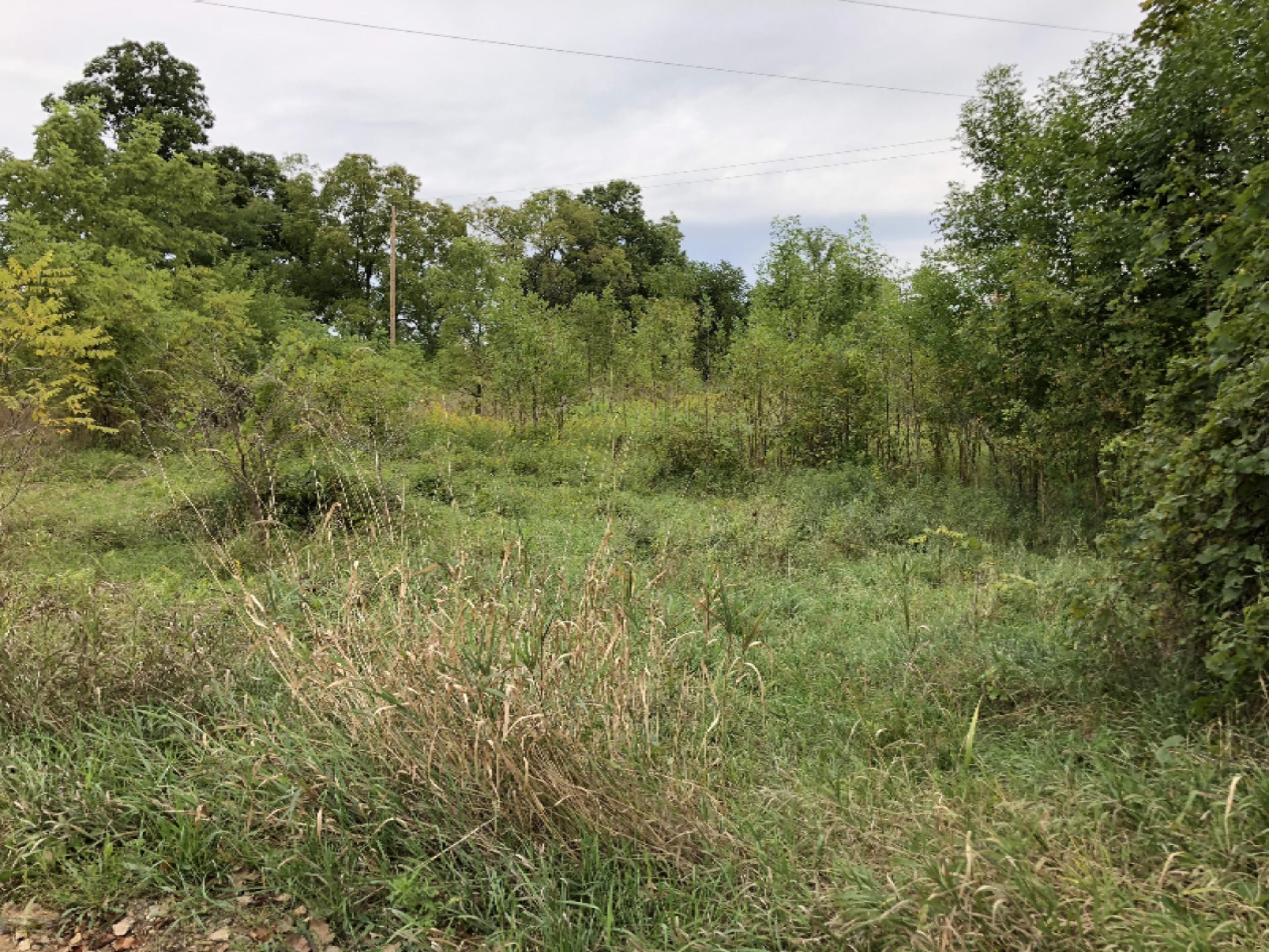 Miller And Mathews Road Olivet, MI 49076 - Photo 4 of 4 35