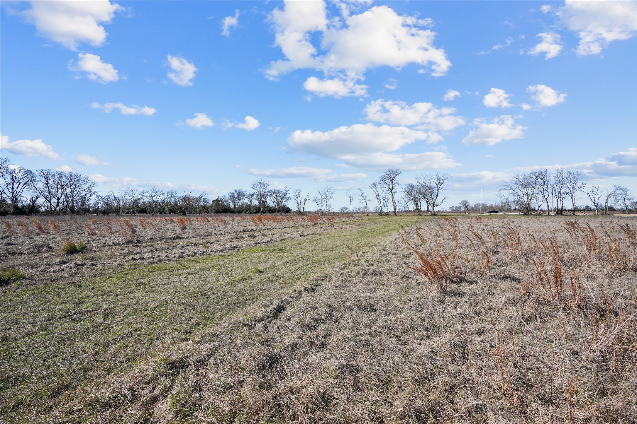 Tbd Ranchside Court Lovelady, TX 75851 - Photo 8 of 10