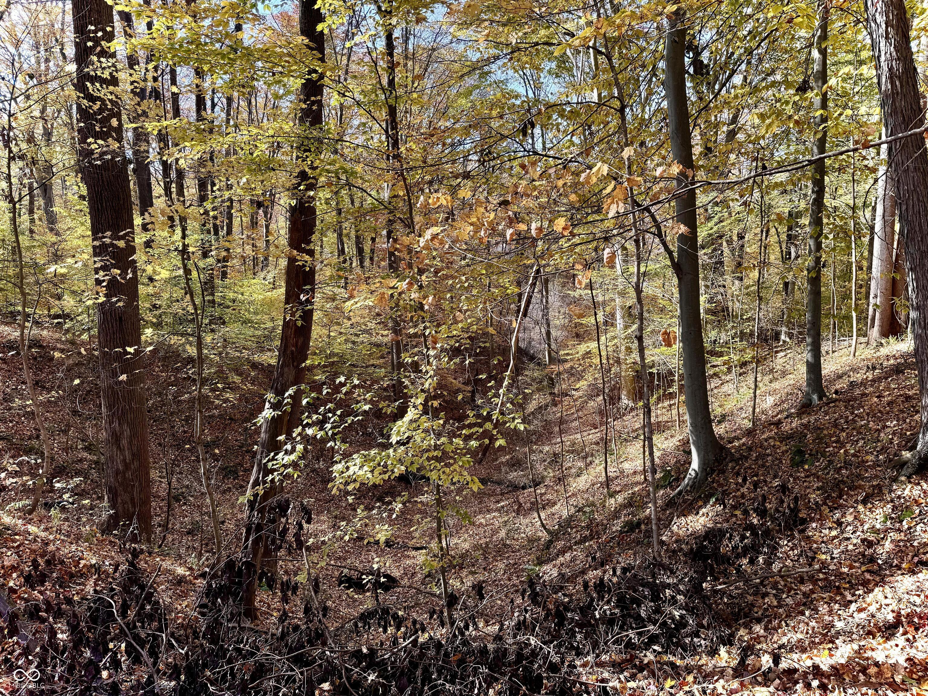 10151 Brann Road Poland, IN 47868 - Photo 57 of 77 Gallery Image 57