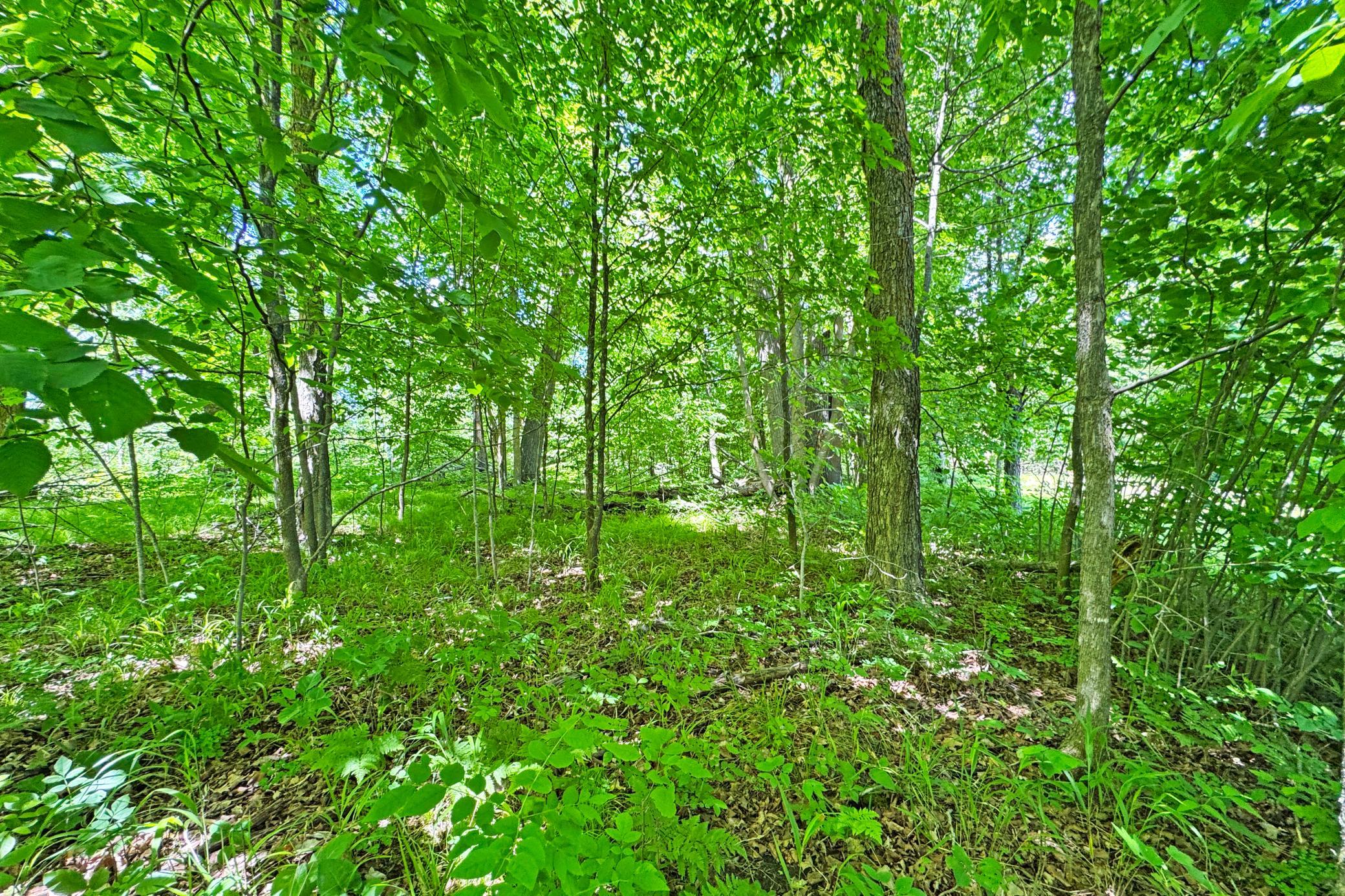 0 Perry Lake Road Crosby, MN 56441 - Photo 22 of 42