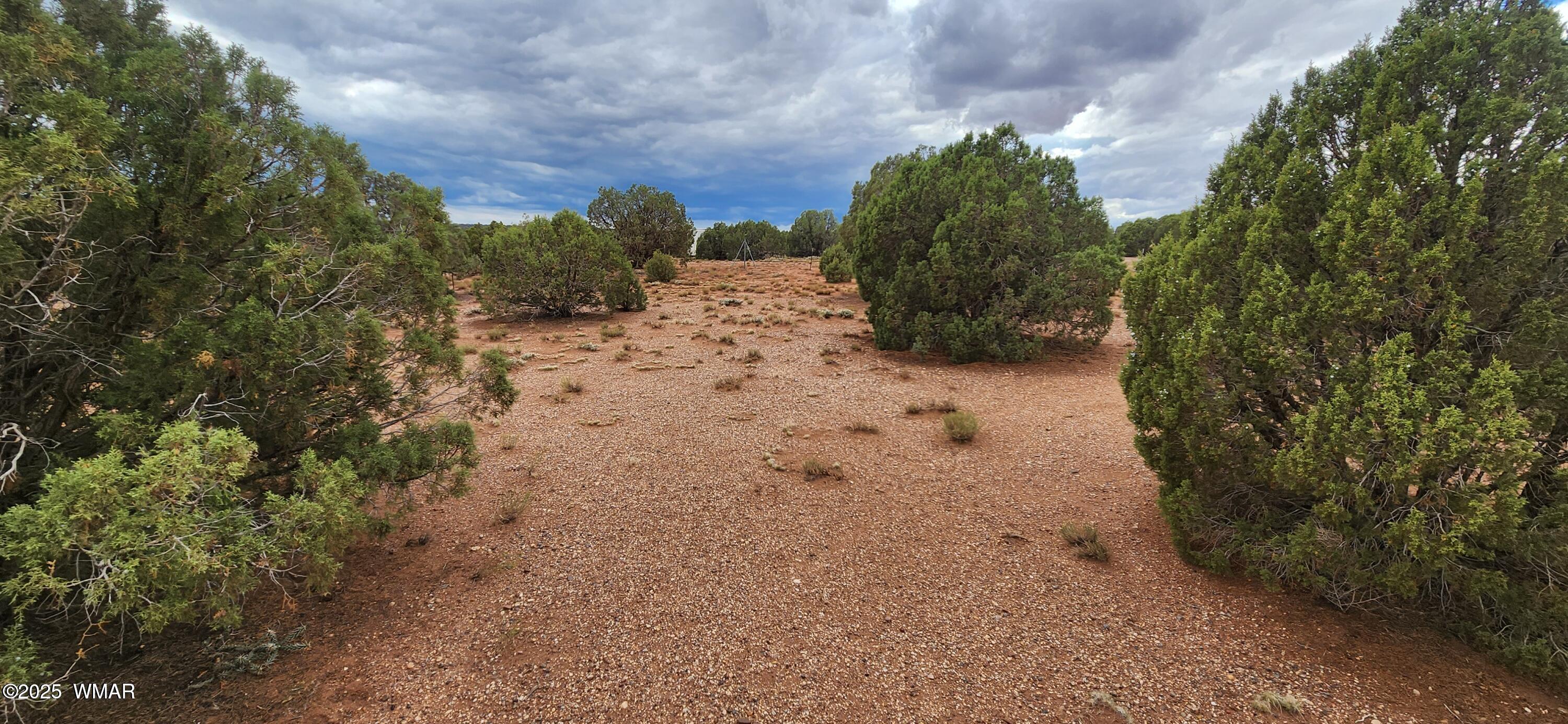 4229 Mountain View Road Snowflake, AZ 85937 - Photo 12 of 15 a view of a dry yard with trees