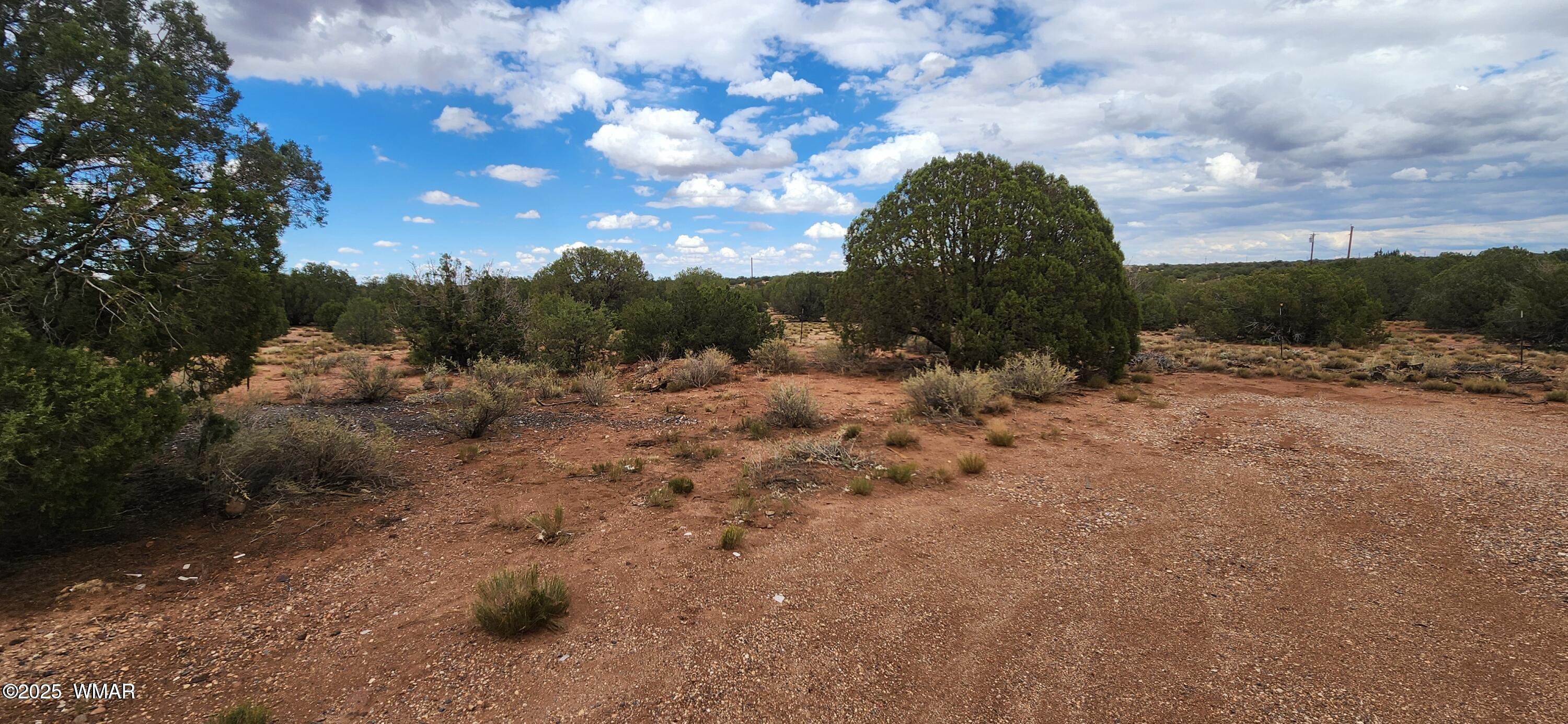 4229 Mountain View Road Snowflake, AZ 85937 - Photo 13 of 15 a view of a dry yard with lots of trees