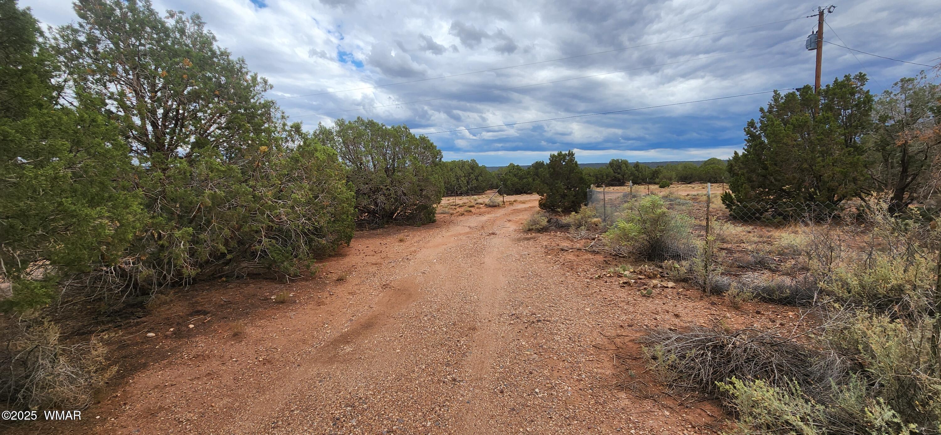 4229 Mountain View Road Snowflake, AZ 85937 - Photo 2 of 15 a view of a dry yard with trees