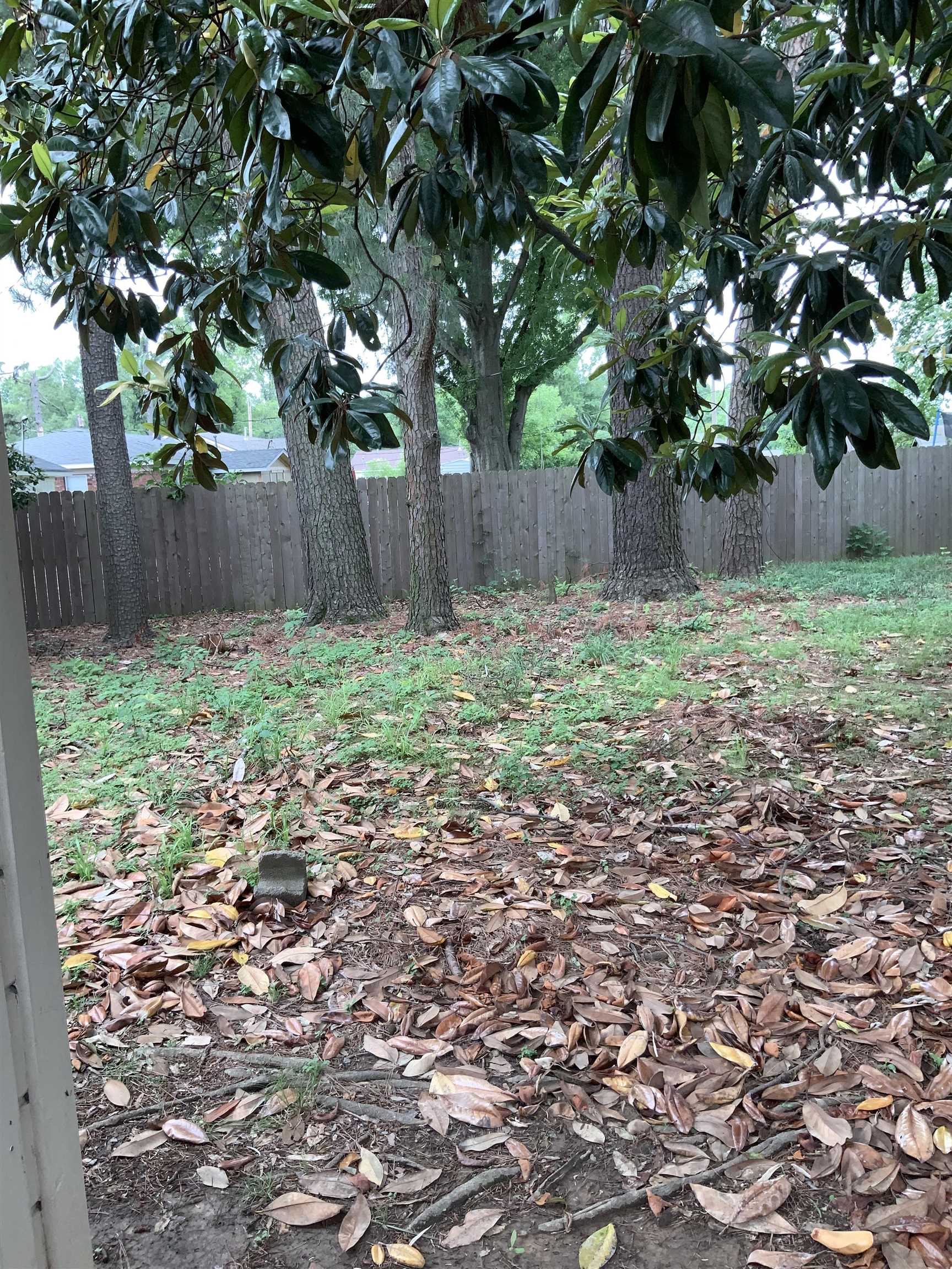 2854 Knightway Road Memphis, TN 38118 - Photo 4 of 16 a small yard covered with trees