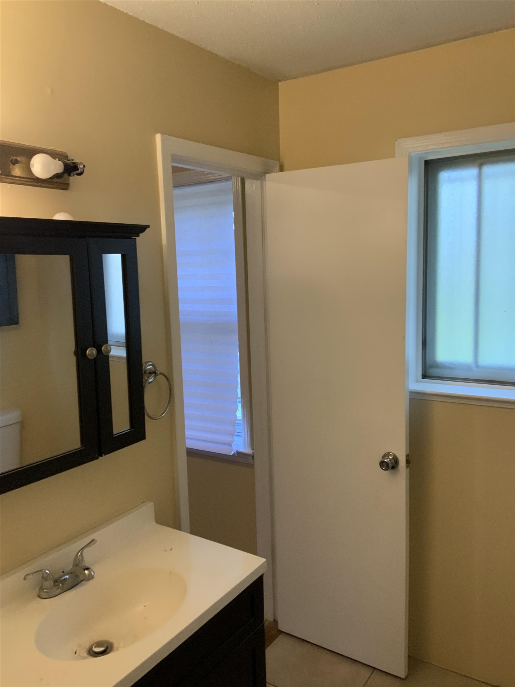 2854 Knightway Road Memphis, TN 38118 - Photo 10 of 16 a bathroom with a sink and a mirror