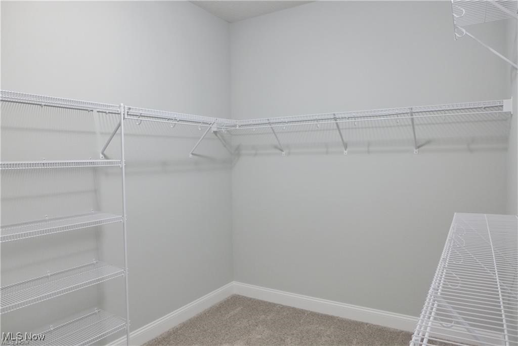 32028 Chestnut Ridge Road North Ridgeville, OH 44039 - Photo 26 of 39 Walk in closet featuring carpet floors
