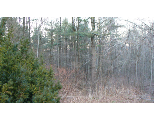 146 Miner Road Hardwick, MA 01082 - Photo 5 of 5