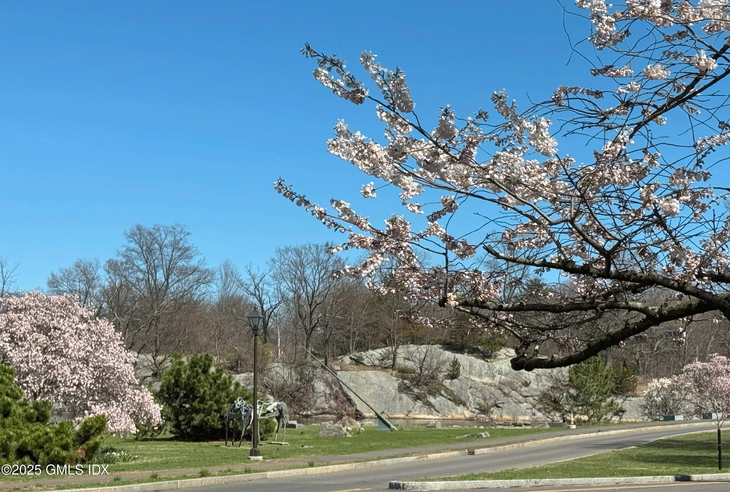 28 Home Place, Unit A2 Greenwich, CT 06830 - Photo 26 of 28 a view of a yard